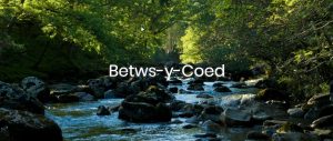 Betws-y-Coed