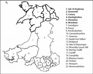 22 x Wales Counties